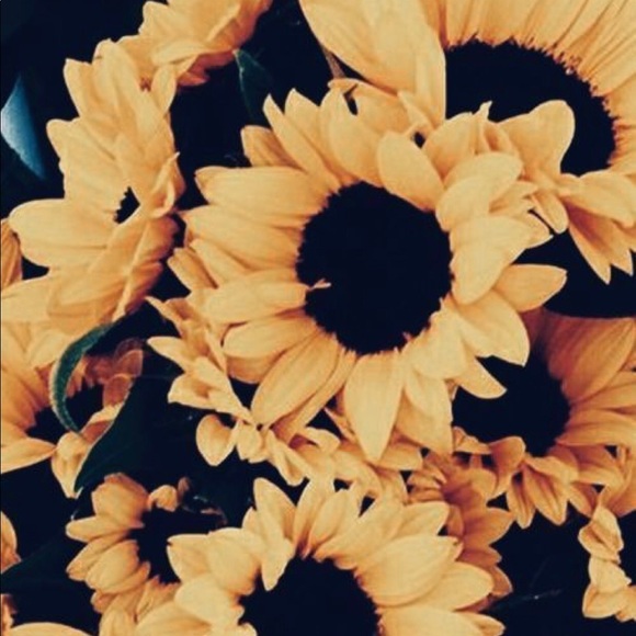 Meet your Posher, Erin - Picture 1 of 1